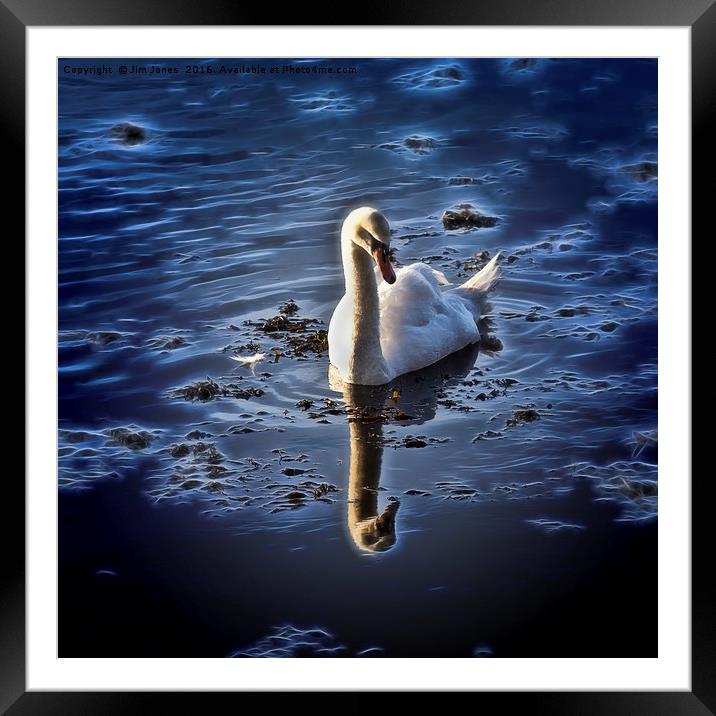 Stylized Swan Framed Mounted Print by Jim Jones