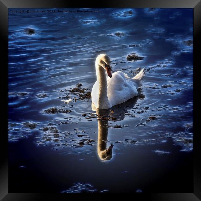 Stylized Swan Framed Print by Jim Jones