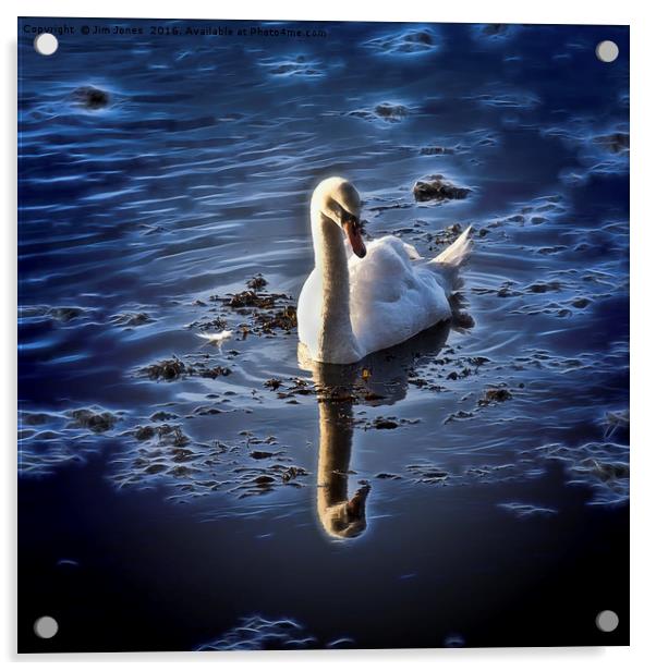 Stylized Swan Acrylic by Jim Jones