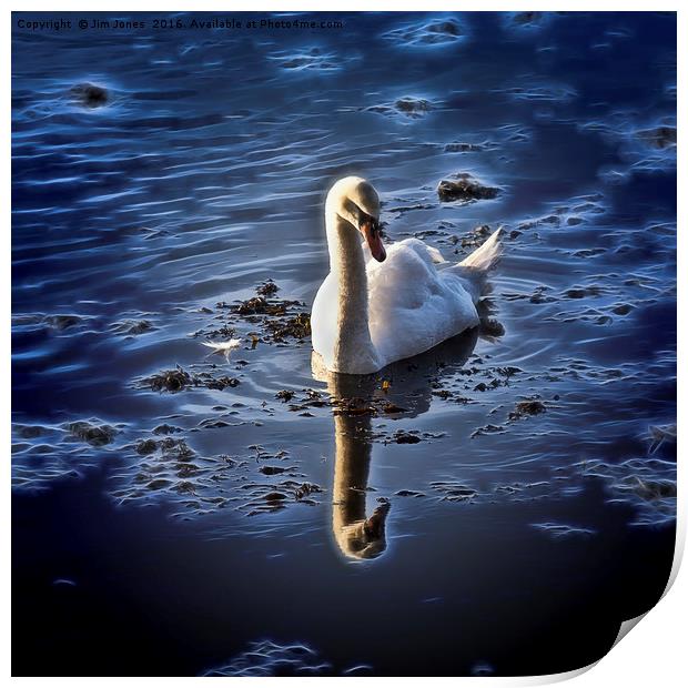 Stylized Swan Print by Jim Jones