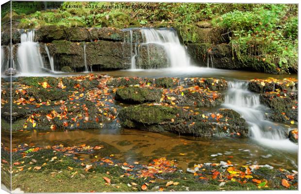 AUTUMN WATERS Canvas Print by andrew saxton