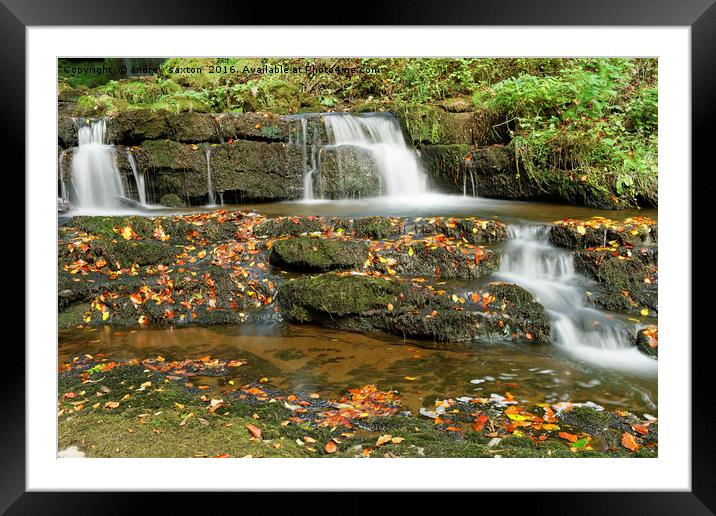 AUTUMN WATERS Framed Mounted Print by andrew saxton