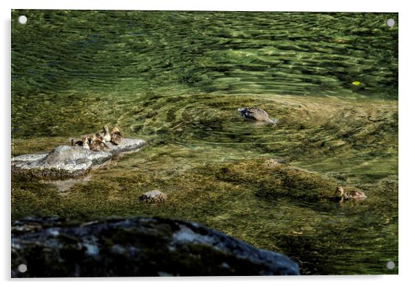 Now that I'm Up Might as Well Fish Acrylic by Belinda Greb
