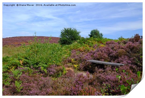 A Seat in the Heather Print by Diana Mower