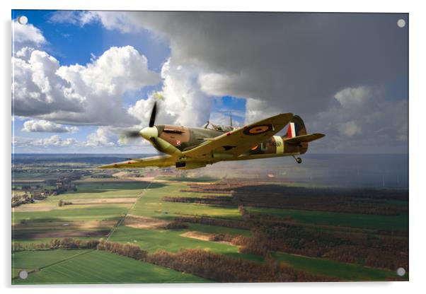 Polish Spitfire Acrylic by J Biggadike