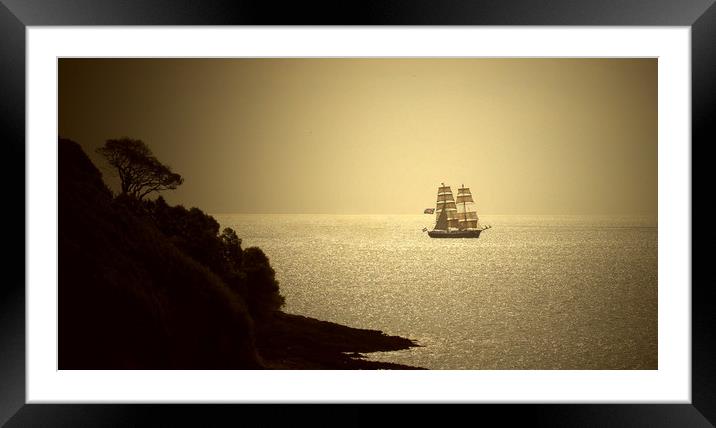 Golden sails Framed Mounted Print by Paul Fine