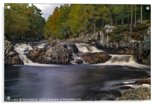 Highland river Acrylic by Tom Dolezal