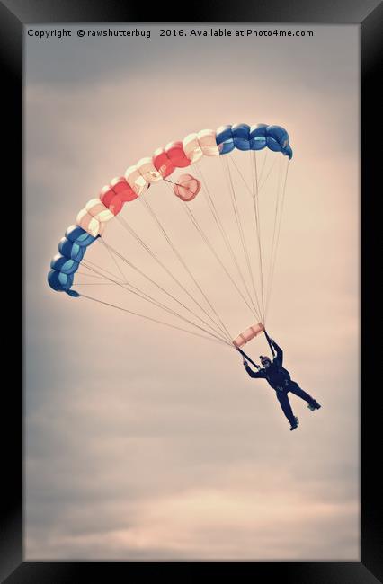 RAF Falcon Parachute Jump Framed Print by rawshutterbug 