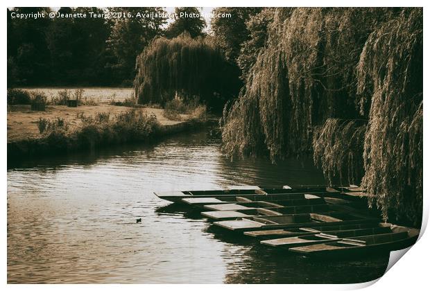 Still waters on the River Cam Print by Jeanette Teare