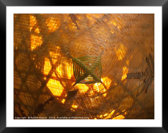 Golden Weave Framed Mounted Print by Robert Gipson
