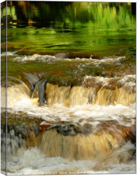 "GREEN REFLECTIONS AT THE WATERFALL" Canvas Print by ROS RIDLEY