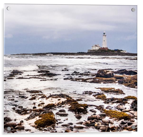 St Mary's Lighthouse from afar Acrylic by Naylor's Photography