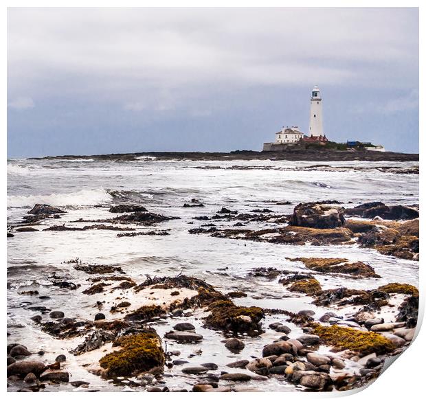 St Mary's Lighthouse from afar Print by Naylor's Photography