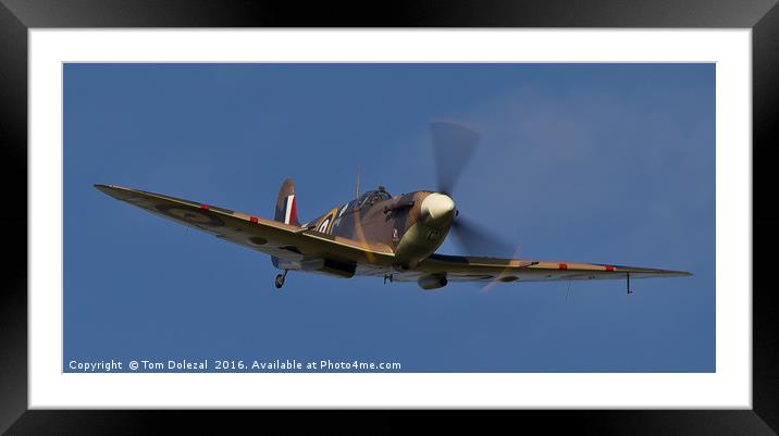 Spitfire flyby Framed Mounted Print by Tom Dolezal