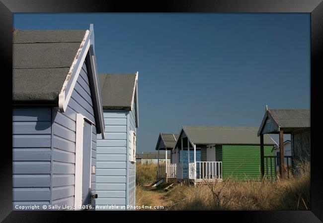 Beach Huts meet Framed Print by Sally Lloyd