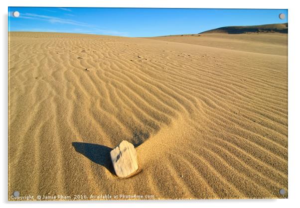 Beautiful sand dunes of the Rancho Guadalupe Dunes Acrylic by Jamie Pham