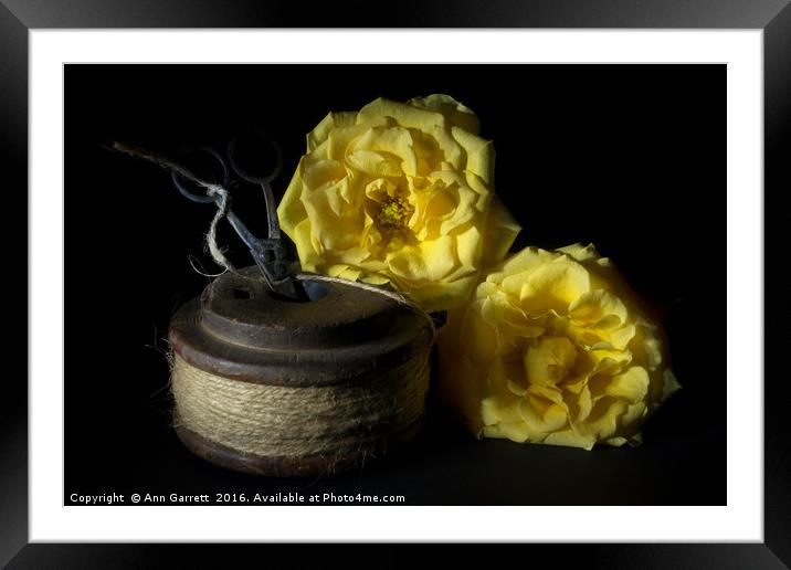 Two Yellow Roses and a Reel of String Framed Mounted Print by Ann Garrett