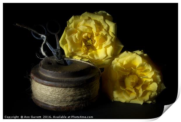 Two Yellow Roses and a Reel of String Print by Ann Garrett