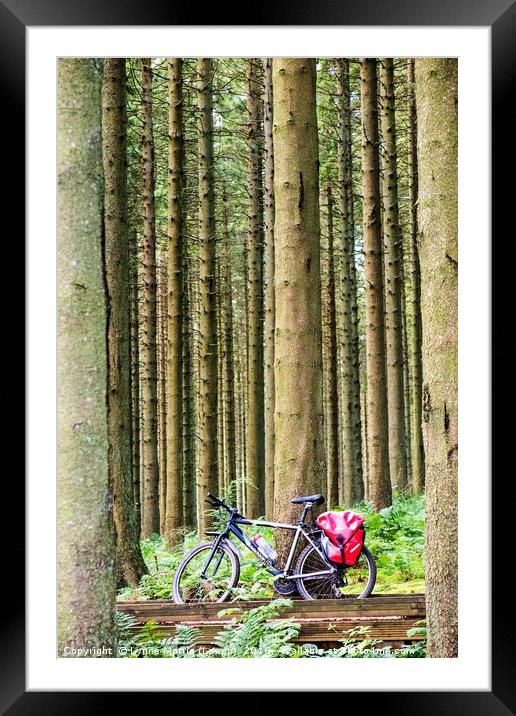 Bike In The Woods Framed Mounted Print by Lynne Morris (Lswpp)