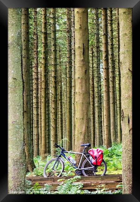 Bike In The Woods Framed Print by Lynne Morris (Lswpp)