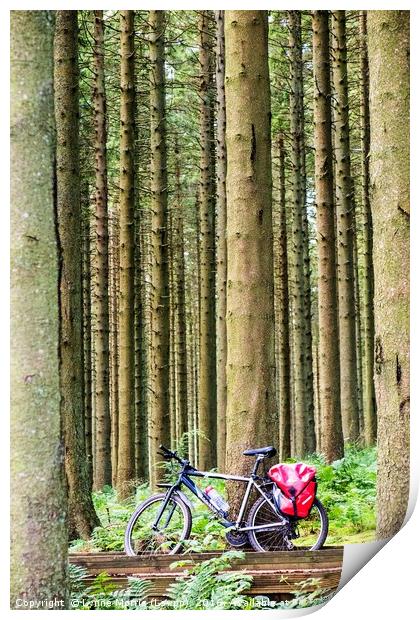 Bike In The Woods Print by Lynne Morris (Lswpp)