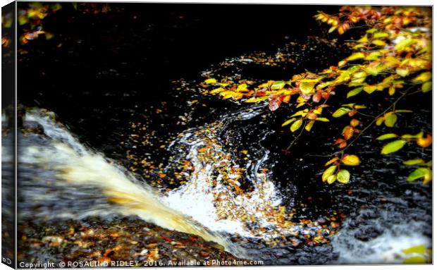 "AUTUMN LEAVES AT THE WATERFALL" Canvas Print by ROS RIDLEY