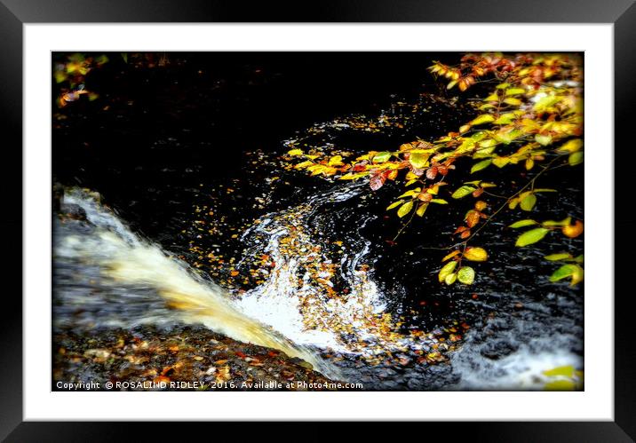 "AUTUMN LEAVES AT THE WATERFALL" Framed Mounted Print by ROS RIDLEY