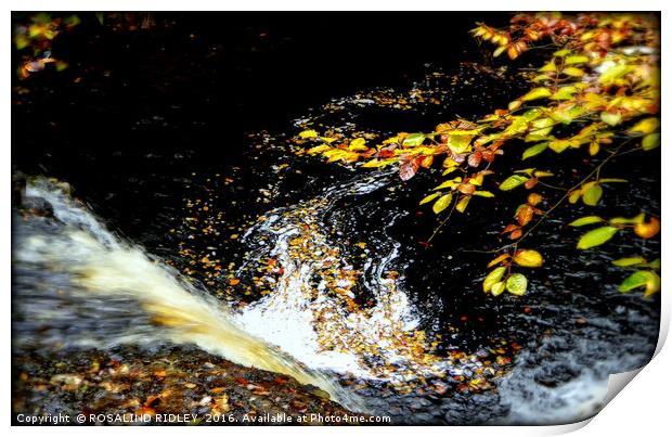 "AUTUMN LEAVES AT THE WATERFALL" Print by ROS RIDLEY