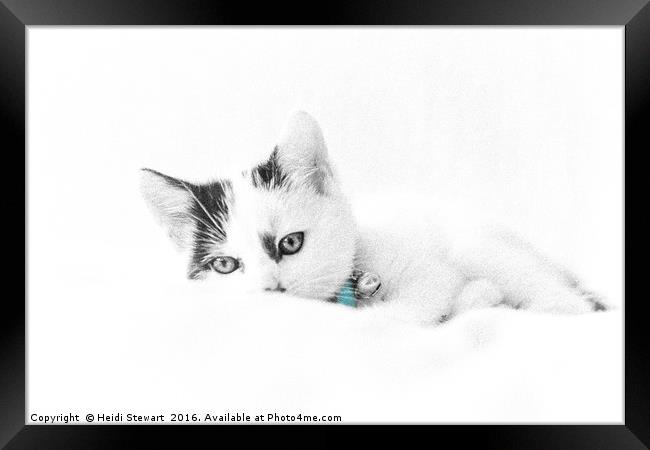 Kitten Cuteness Framed Print by Heidi Stewart