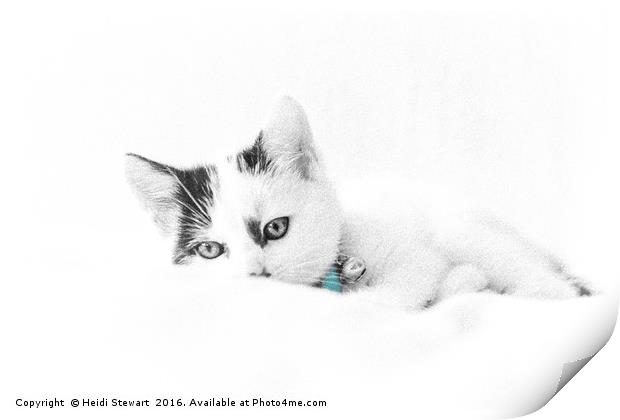 Kitten Cuteness Print by Heidi Stewart