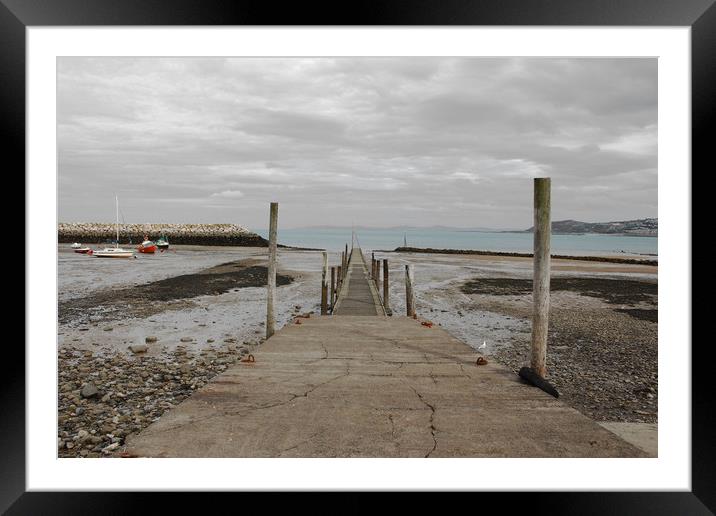 Rhos-On-Sea Framed Mounted Print by Terry Anderson