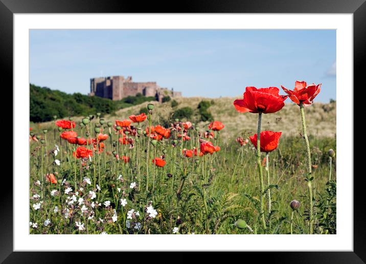 Poppies and Bambugh Castle. Framed Mounted Print by Ivan Kovacs