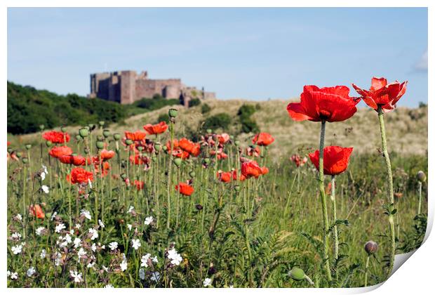 Poppies and Bambugh Castle. Print by Ivan Kovacs