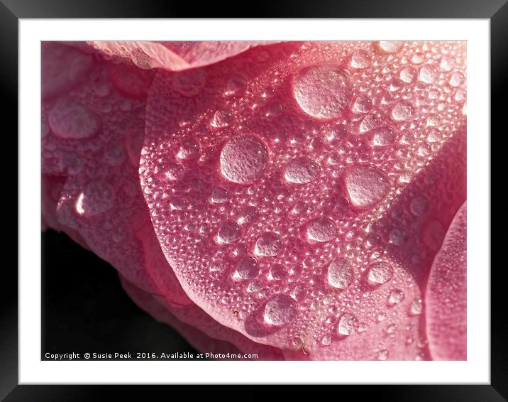 Strawberry Ice Framed Mounted Print by Susie Peek