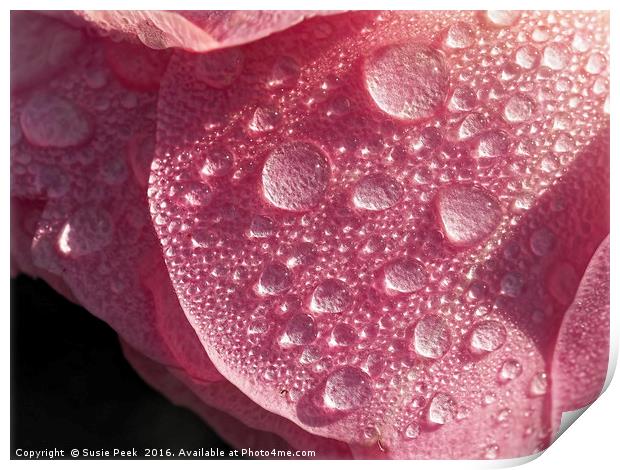 Strawberry Ice Print by Susie Peek