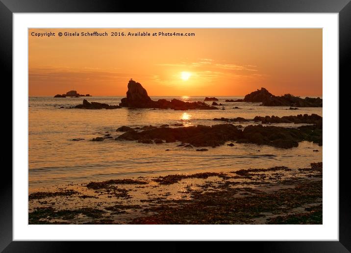 Sunset at Cobo Bay Framed Mounted Print by Gisela Scheffbuch