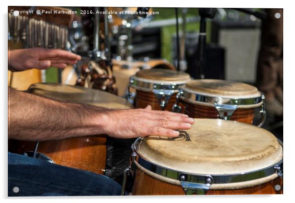 Bongo Hand Drums Acrylic by Paul Warburton