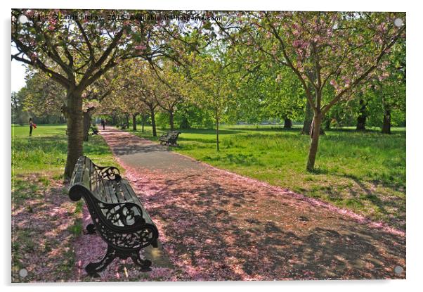 Bench of Blossom Acrylic by cairis hickey