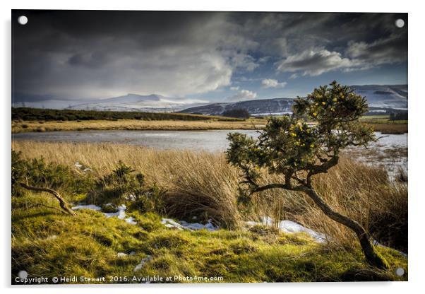 Mynydd Illtud Common, Brecon Beacons Acrylic by Heidi Stewart