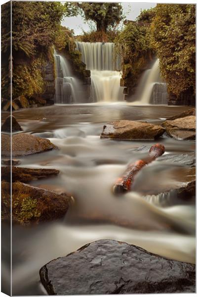 Waterfalls at Penllergare woods Canvas Print by Leighton Collins