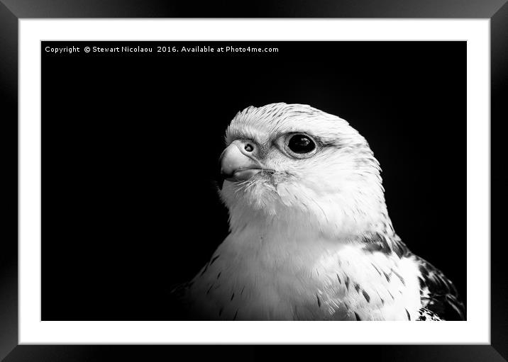 Watching Over With My Beady Eye Framed Mounted Print by Stewart Nicolaou