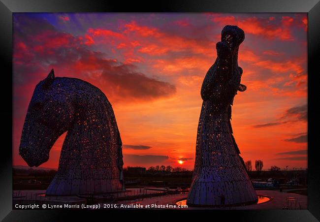 The Kelpies at Sunset Framed Print by Lynne Morris (Lswpp)