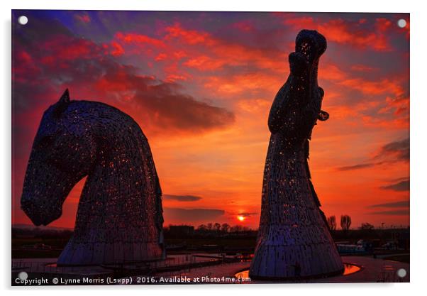 The Kelpies at Sunset Acrylic by Lynne Morris (Lswpp)