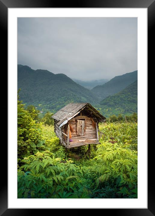 Living in a mountains  Framed Mounted Print by Svetlana Sewell
