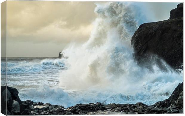 High Waves at Dyrholaey on the Iceland coast Canvas Print by Nick Jenkins