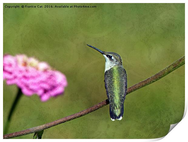 Hummingbird and Zinnia Print by Frankie Cat