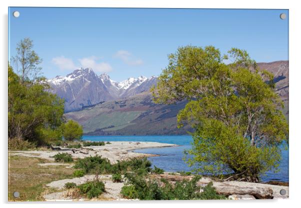Lake Wakatipu in New Zealand Acrylic by Jackie Davies