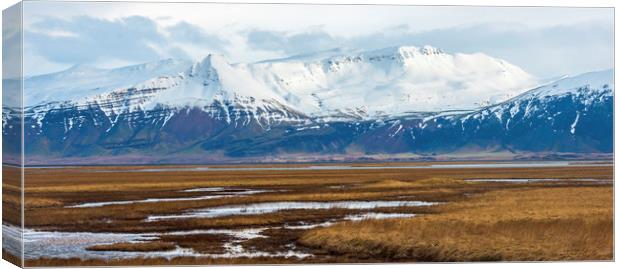 Mountains near Hofn Iceland Canvas Print by Nick Jenkins