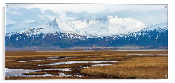 Mountains near Hofn Iceland Acrylic by Nick Jenkins
