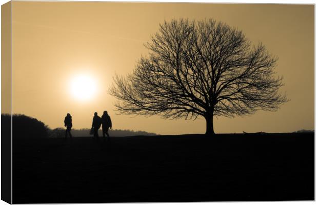 Sunset Silhouettes Canvas Print by George Cairns